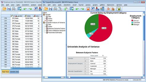 Toradh íomhá ar SPSS Data Analysis Application