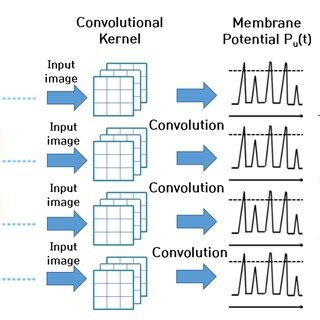 Image result for Spiking Neural Network SNN