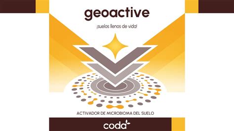 Image result for GeoActive Logo