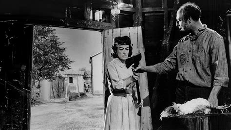 Strait Jacket Time కోసం చిత్ర ఫలితం