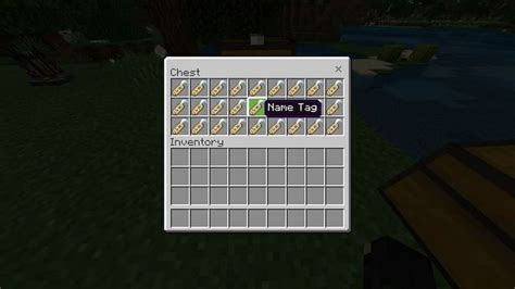 Image result for How to Use Name Tag Minecraft