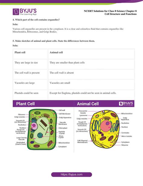 Image result for Cell Structure and Function Class 8 PDF