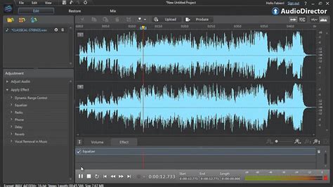 Image result for AudioDirector