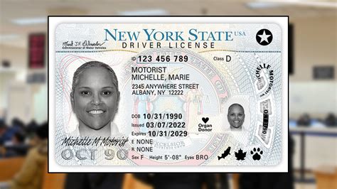 Afbeeldingsresultaten voor New York Commercial Driver License