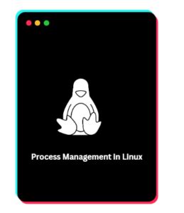 Image result for Diagram Depicting Linux Server Management Process
