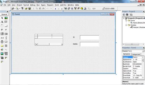 Toradh íomhá ar VB6 DataGrid