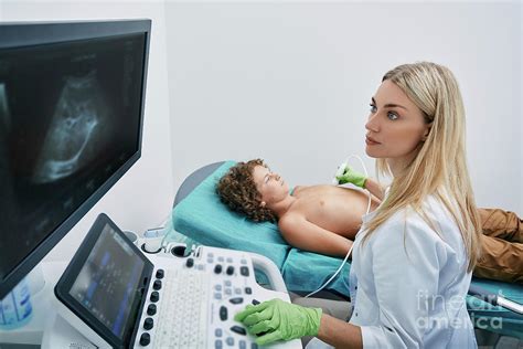 Image result for Ultrasound Probe Heart