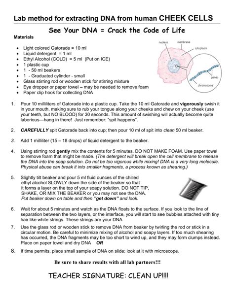 Cheek DNA Extraction Lab-साठीचा प्रतिमा निकाल