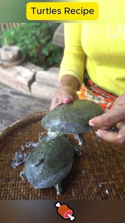 Image result for Cooking Turtle Recipe