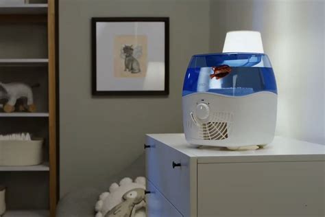 Image result for When Should You Start to Use Your Humidifier
