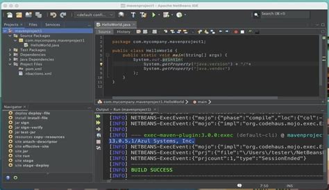 Image result for NetBeans Web Development