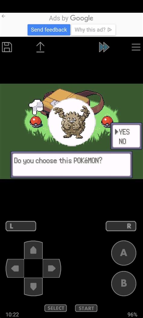 Image result for Emerald Nuzlock Randomizer