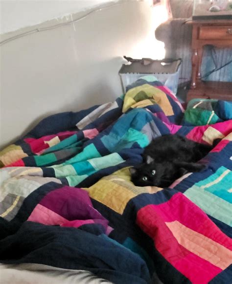 CFP Aco vs DCO に対する画像結果