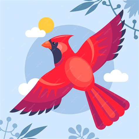 Toradh íomhá ar Cardinal Bird Outline Drawing