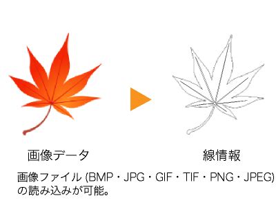 Vectric Portable に対する画像結果