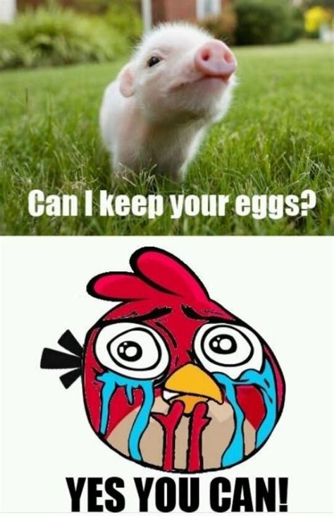 Laying Crying Meme に対する画像結果