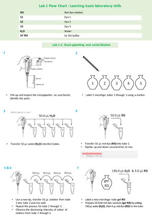 Image result for Lab Process Flowchart
