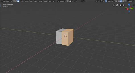 Image result for Blender Divide Vertices