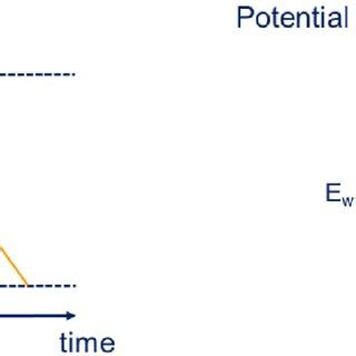 Image result for Example of Triangular Wave