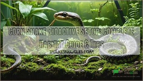 Image result for Lavender Corn Snake