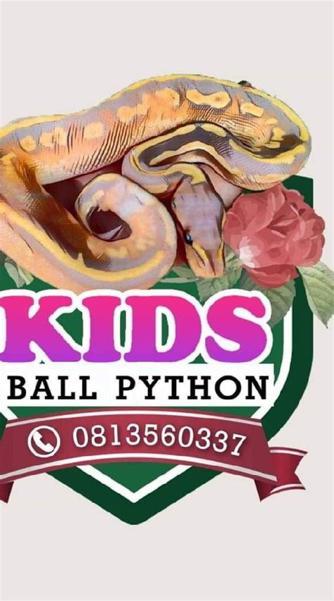 Image result for Ball Python Children