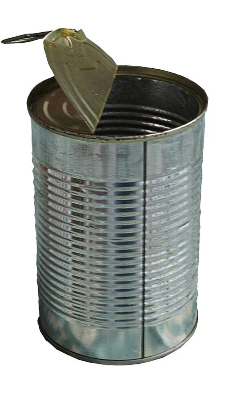 Image result for Solid Can