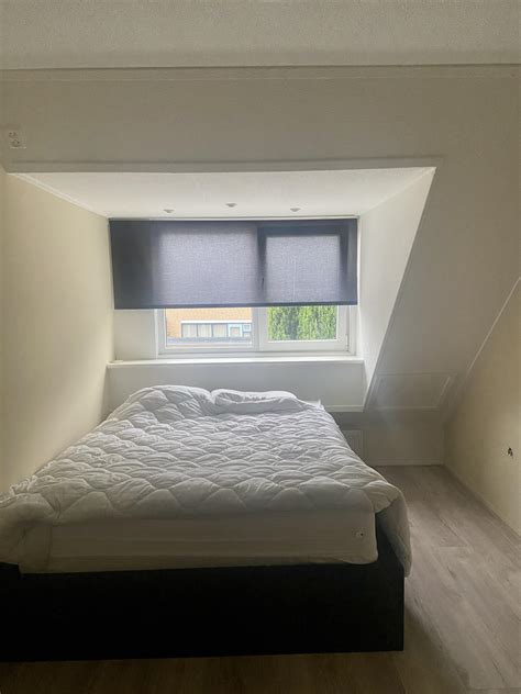 Small Bedroom Ceiling Design に対する画像結果