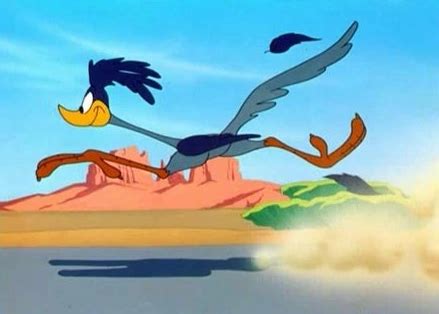 Image result for Road Runner Names