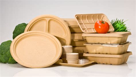 Image result for Compostable Food Containers