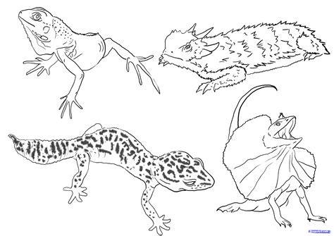 Image result for 3 Reptiles Animal Drawing