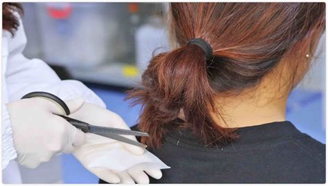 Image result for Hair Sample Drug Test