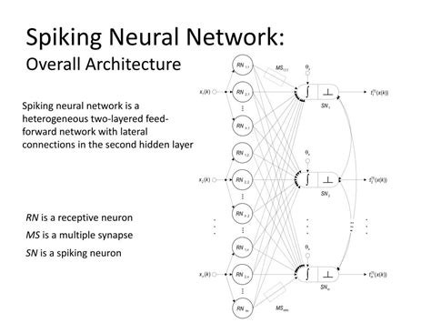 Image result for Sparse Coding in Spiking Neural Networks