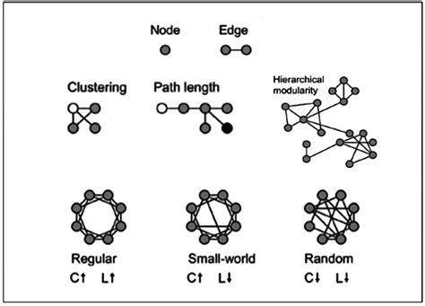 Network Graph Edge Node కోసం చిత్ర ఫలితం