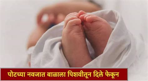 Manikonda Area के लिए छवि परिणाम