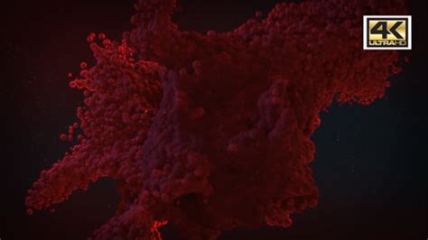 Afbeeldingsresultaten voor Blood Motion Graphics