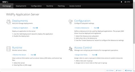 Image result for WildFly IntelliJ
