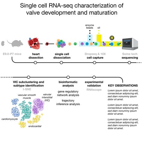 Graphical Abstract Design に対する画像結果