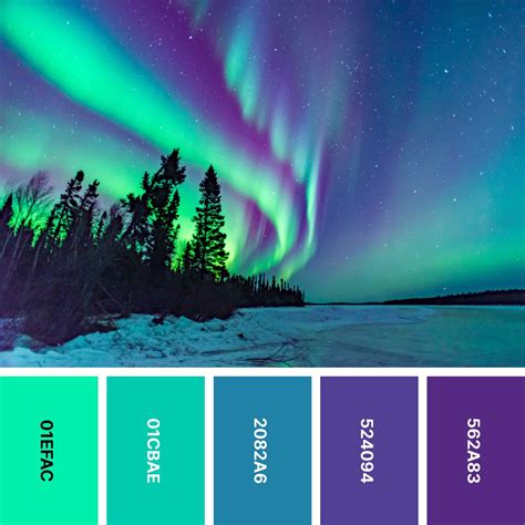 Image result for Awesome Color Palette