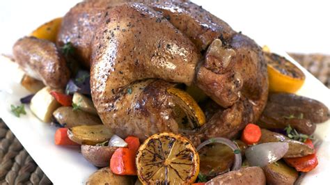 Stuffed Shells Clip Art に対する画像結果