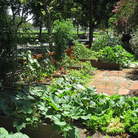 Image result for Planting in Landscape Construction