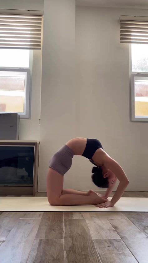 Image result for Contortion Yoga