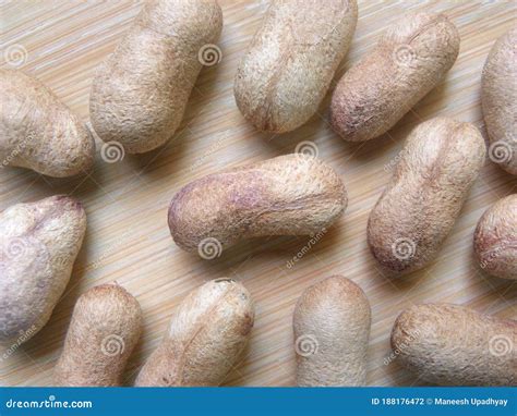 Image result for Java Plum Seed