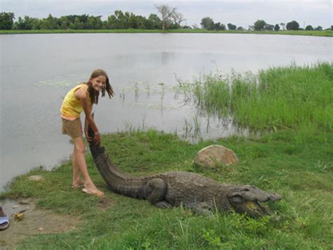 Source Code Lab に対する画像結果