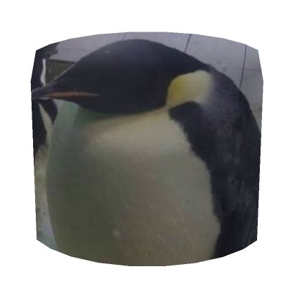 Image result for Roblox Bird Mask