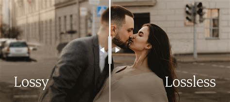 Image result for Lossy Example