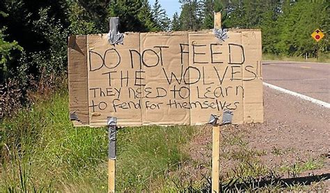 Toradh íomhá ar Kinds of Wolves