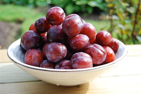 Image result for Red Plum Fruit