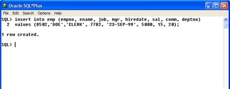 Insert Statment for Oracle SQL に対する画像結果
