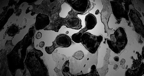 Quixel Logo に対する画像結果