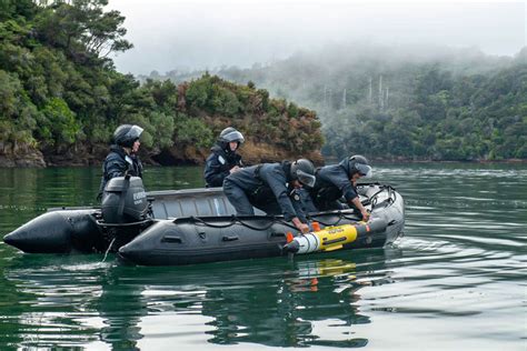 Image result for Navy Pier Claw Machine
